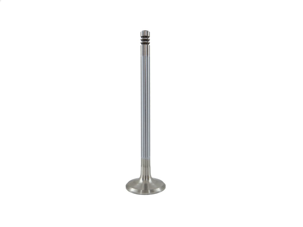 10445691MesCd523vQEi2 Einlassventil Auslassventil f. BMW 1er 3er 5er 7er X5 M47 N47 M57 320D 525d 530d