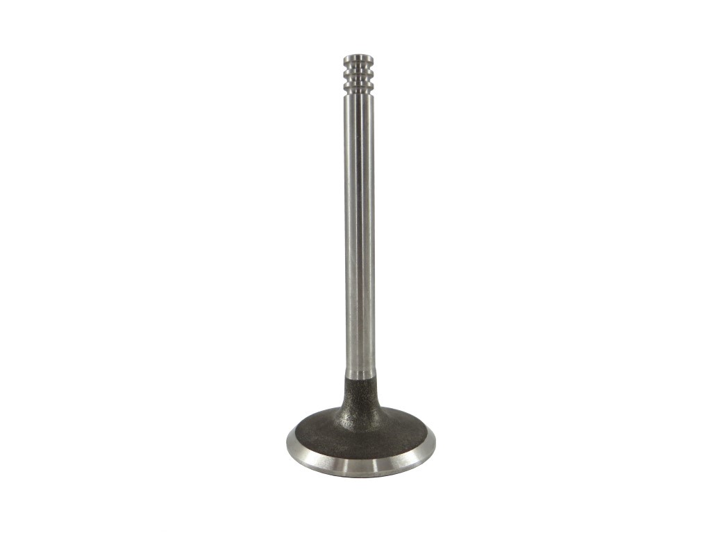 10448193UDcqOLs4NyYvX Einlassventil für VW T5 Touareg 1,9 2,5 Tdi Seat Skoda Audi 038109601B AXD AXE